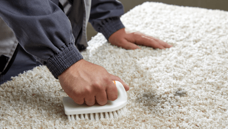 Professional Rug Cleaning Magpie
